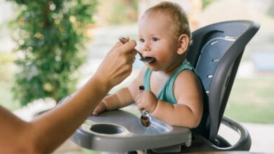 cadeira de alimentação para introdução alimentar