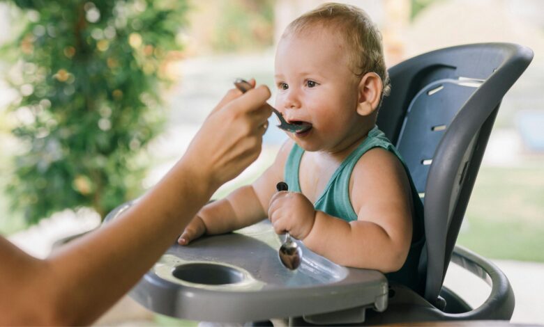 cadeira de alimentação para introdução alimentar