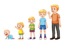 etapas do desenvolvimento infantil piaget