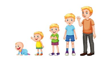 etapas do desenvolvimento infantil piaget