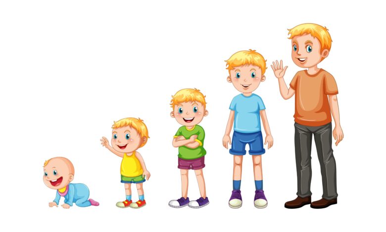etapas do desenvolvimento infantil piaget