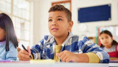 Flexibilidade Cognitiva infantil
